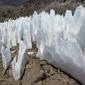 Marmot RockJoy Aconcagua Expedition 2015