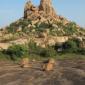 RockJoy Hampi Bouldering Trip