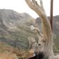 Gran Paradiso 2014