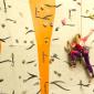 Lezení na umělé stěně s Horolezeckou školou RockJoy